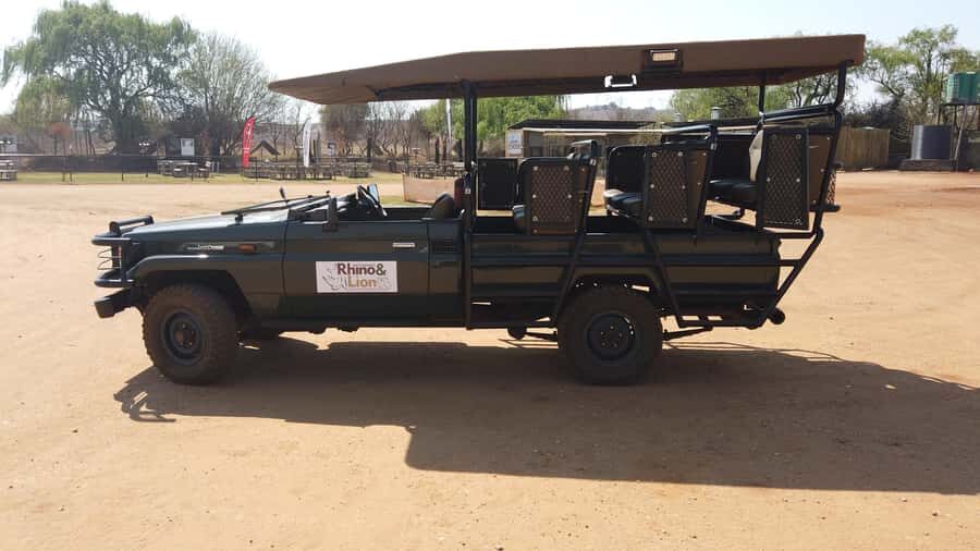 Johannesburg: Rhino and Lion Nature Reserve Safari - What Happens After the Game Drive: Souvenirs and Your Return