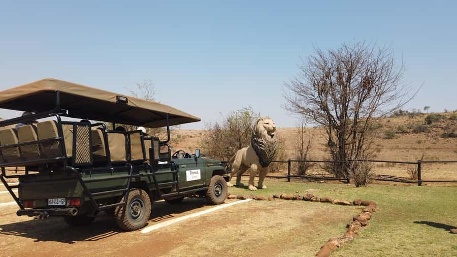Johannesburg: Rhino and Lion Nature Reserve Safari - Price and Value: Is $121 for This Safari a Fair Deal?