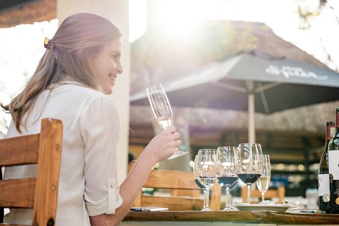 Johannesburg: Wine Tasting and Cableway Half Day Tour - Key Highlights You’ll Feel in the Day