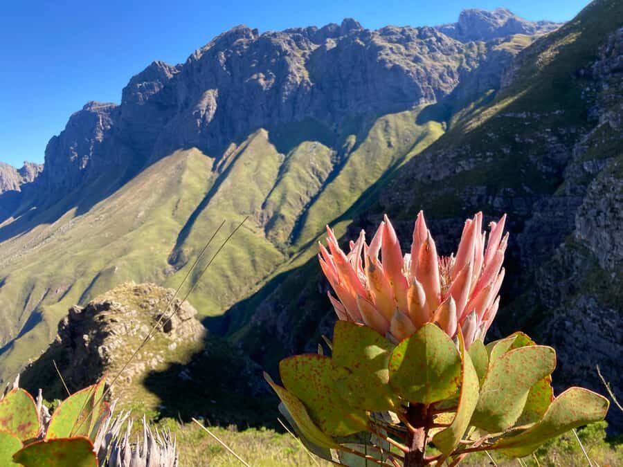 Jonkershoek Nature Reserve: Guided Panorama Trail Hike - Entering Jonkershoek: Why This Hike Feels Like a Real Mountain Day