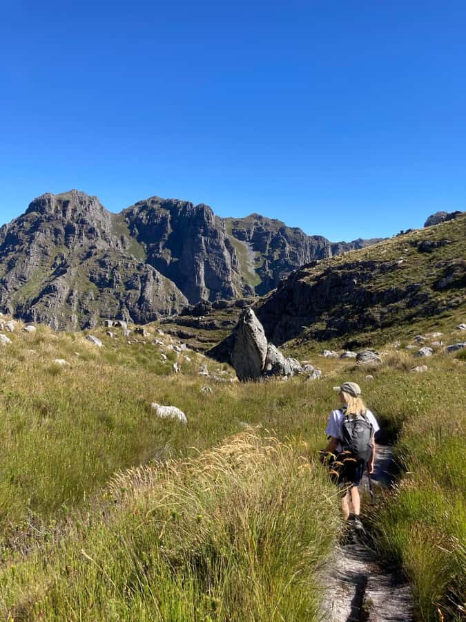 Jonkershoek Nature Reserve: Guided Panorama Trail Hike - The Rocky Gully Climb: Your 1,000 m Test of Grit