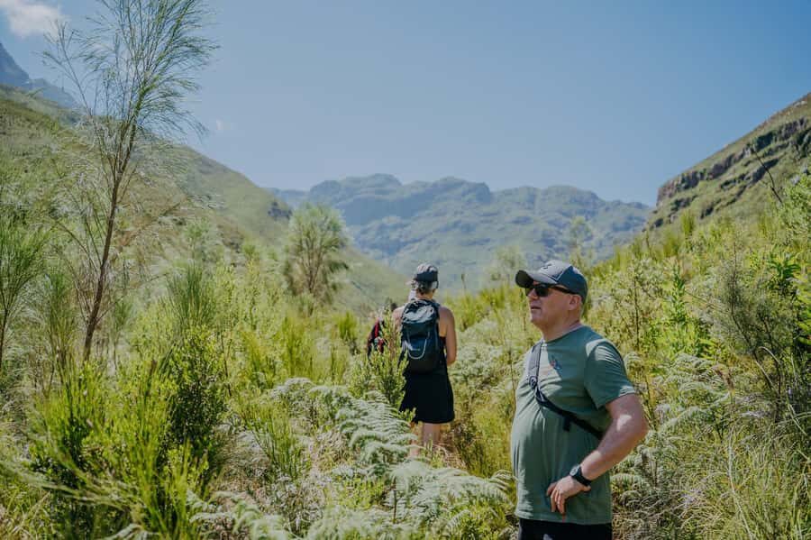 Jonkershoek: Waterfall Hike and 4x4 Safari Ride - Key highlights you’ll feel on the day