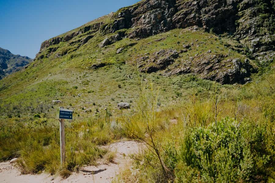 Jonkershoek: Waterfall Hike and 4x4 Safari Ride - The guided nature session: viewpoints, flora, and real “therapy” time
