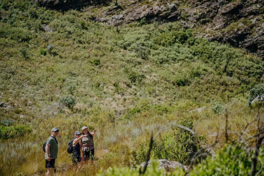 Jonkershoek: Waterfall Hike and 4x4 Safari Ride - Who should book this hike, and who should skip it