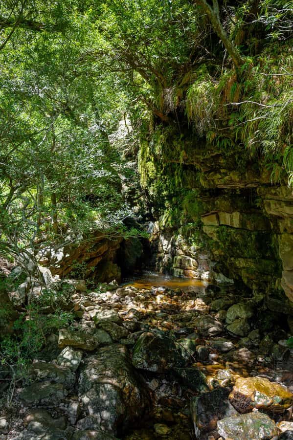 Jonkershoek: Waterfall Hike and 4x4 Safari Ride - Should you book Jonkershoek: Waterfall Hike and 4x4 safari ride?