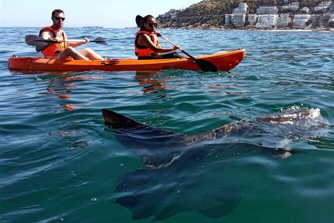 Kayak Adventure at Clifton Beach - Guides, safety, and why beginners often feel at ease