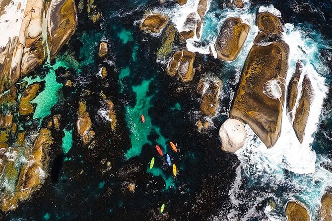 Kayak Adventure at Clifton Beach - What to bring, and how to handle the cold water reality