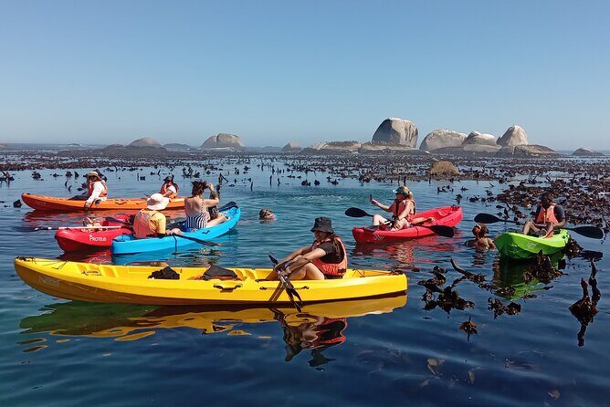 Kayak Adventure at Clifton Beach - Who this kayak trip suits best