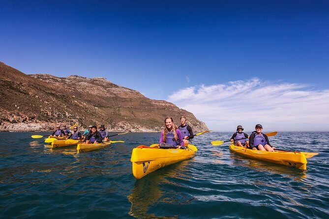 Kayak Chapman's Peak and Karbonkelberg in Hout Bay - How hard is it? Moderate fitness, steady pacing, and sensible expectations