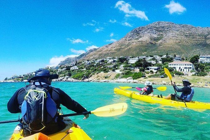 Kayak to the penguins in Simons Town - The Loop Back to Long Beach: Why the Timing Feels Just Right