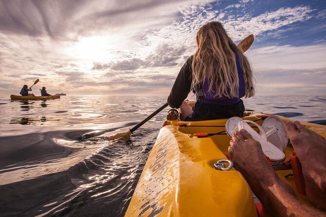 Kayak to the penguins in Simons Town - Head Out Through Small Waves: Harbour Views First