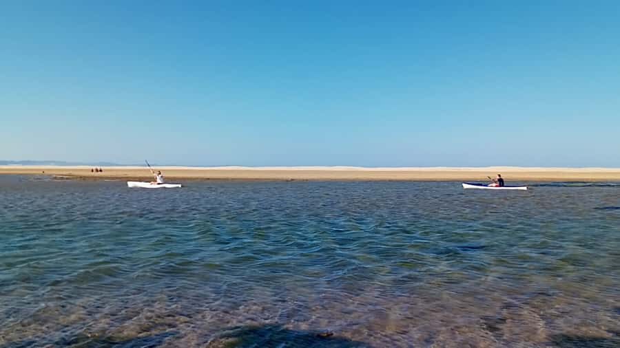 Kayaking Jeffreys Bay - Wildlife watching: flamingos, bird species, and staying realistic