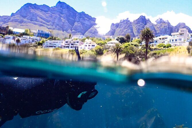 Kelp Forest Snorkeling in Cape Town - What Makes This Snorkel Experience Work So Well
