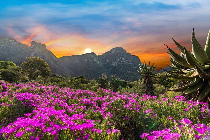 Kirstenbosch Botanical Gardens and Constantia Wine Tasting Tour. - The AFROGEM Diamond-Cutting Stop: Quick, Polished, and Optional