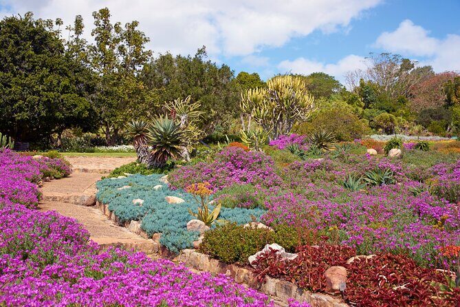 Kirstenbosch Garden, Bo-Kaap-Penguins & Cape of Good Hope Tour - Kirstenbosch Garden: Guided Botany With Real-World Context