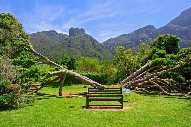 Kirstenbosch Garden, Bo-Kaap-Penguins & Cape of Good Hope Tour - St James Beach Cabanas to Kalk Bay’s Fish Harbor Lunch Moment