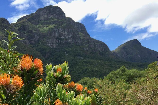 Kirstenbosch National Botanical Gardens: A Self-guided Audio Tour - How VoiceMap works on-site (so you don’t waste time)