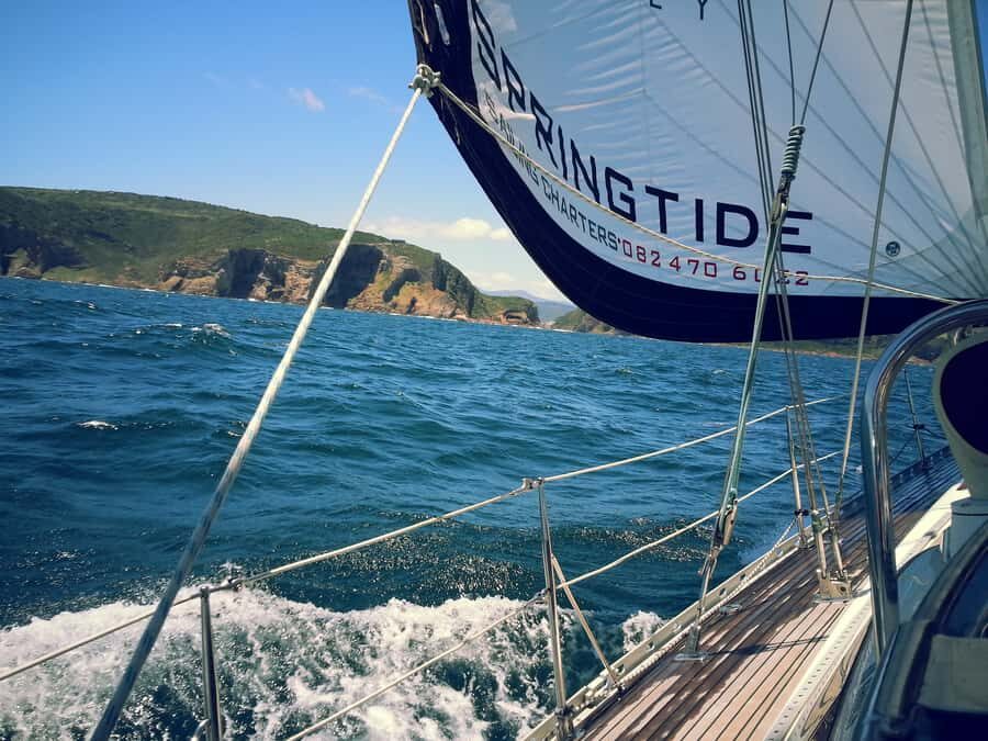 Knysna: 2.5-Hour Day Sail & Lunch Charter - Wildlife watching from the estuary to the ocean