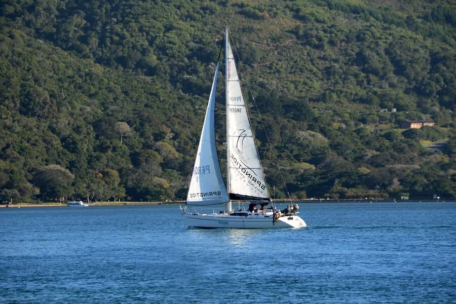 Knysna: 2.5-Hour Day Sail & Lunch Charter - Price and value at about $143 per person