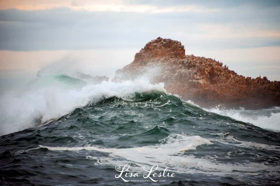 Knysna: 2.5-Hour Day Sail & Lunch Charter - Who should book this Knysna day sail