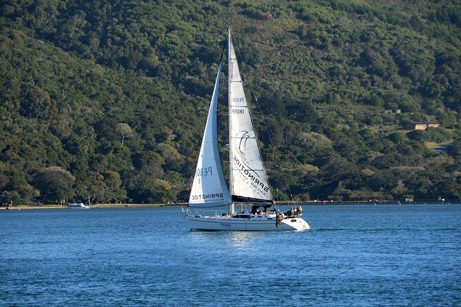 Knysna Day Sailing Cruise 1.5 hour - Knysna Heads and the Indian Ocean: the weather-driven highlight