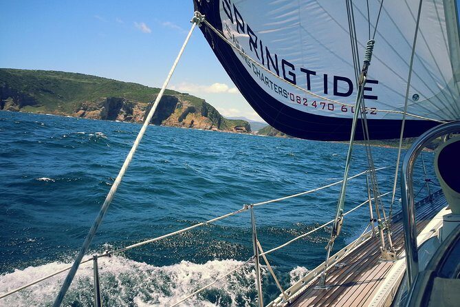 Knysna Day Sailing Cruise 1.5 hour - Wildlife spotting: dolphins and whales, plus the little surprises