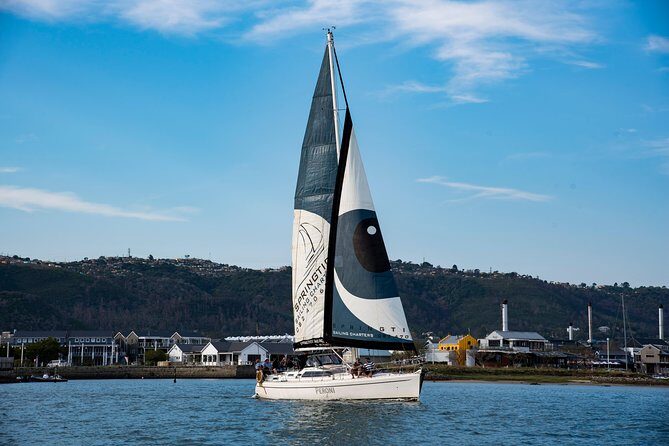 Knysna Day Sailing Cruise 1.5 hour - Safety you can feel good about, without turning it into a lecture