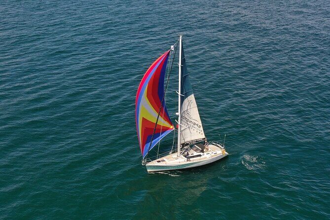 Knysna Day Sailing Cruise 1.5 hour - Sailing the Knysna Lagoon: calm water with a nature-first focus