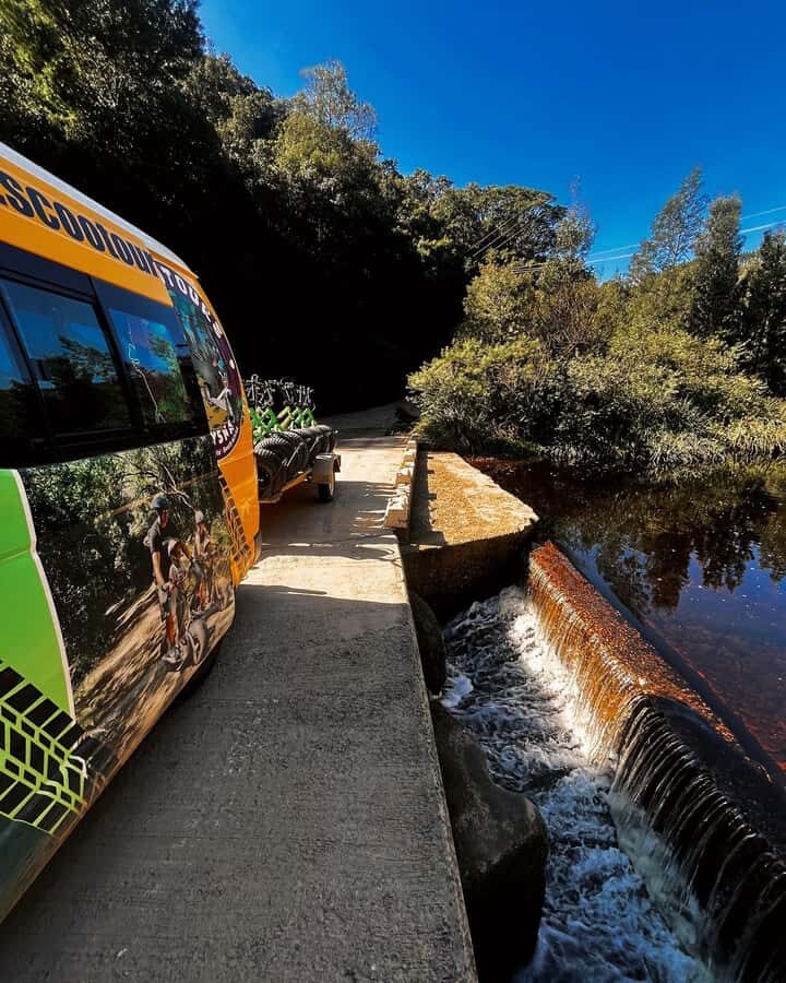 Knysna: Downhill Forest Scootour Adventure - Key Things to Know Before You Go