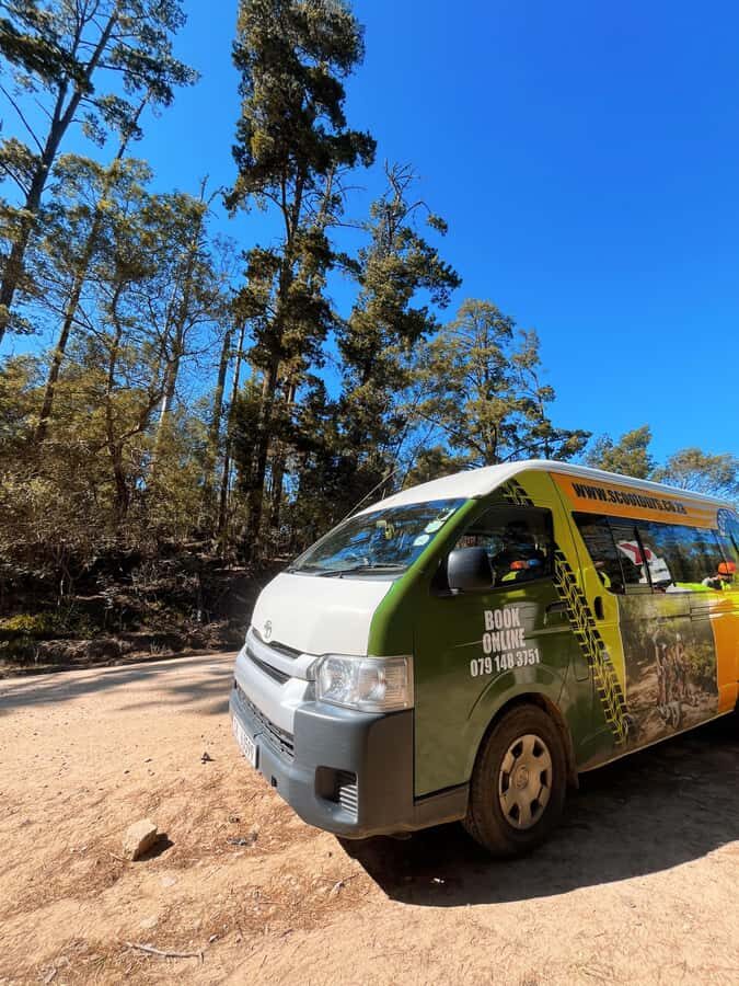 Knysna: Downhill Forest Scootour Adventure - Wildlife Spotting: The Knysna Loerie Moment