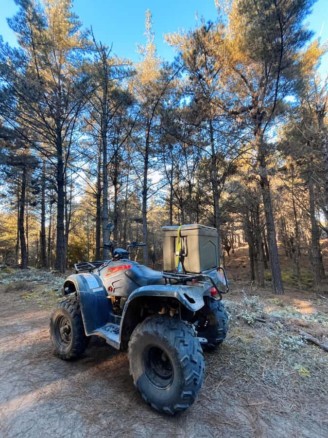 Knysna: Guided Quad Bike Tour in the Forest - Guides, languages, and how they help you enjoy it