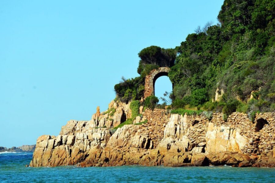 Knysna Heads and Estuary Adventure - Cruising the Knysna Estuary: birds, seals, and the “43%” fact that matters