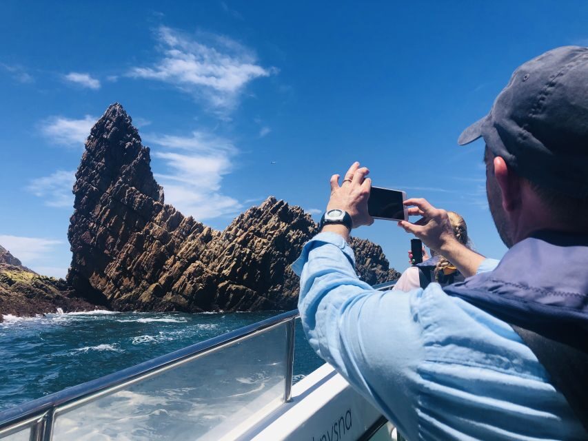 Knysna Heads and Estuary Adventure - Caves and coves: why the coastline looks different from water