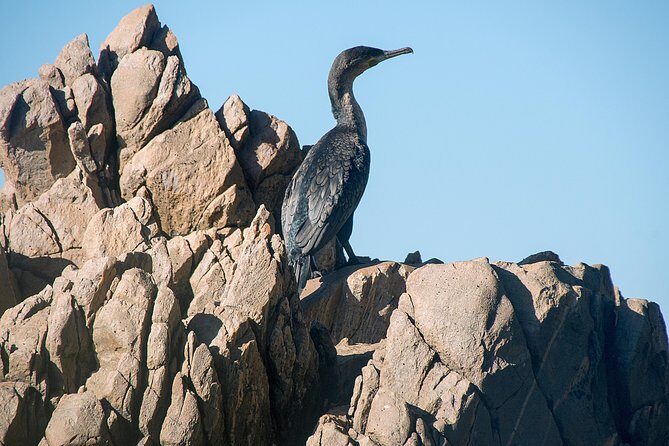 Knysna Heads & Lagoon Adventure Tour - Getting to the water at Thesen Island