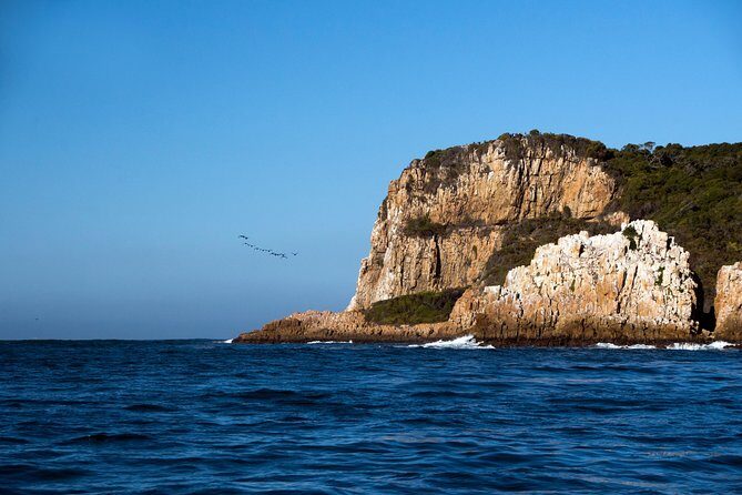 Knysna Heads & Lagoon Adventure Tour - Commentary that actually helps you look