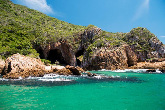 Knysna Heads & Lagoon Adventure Tour - Wildlife spotting: dolphins, seals, and more