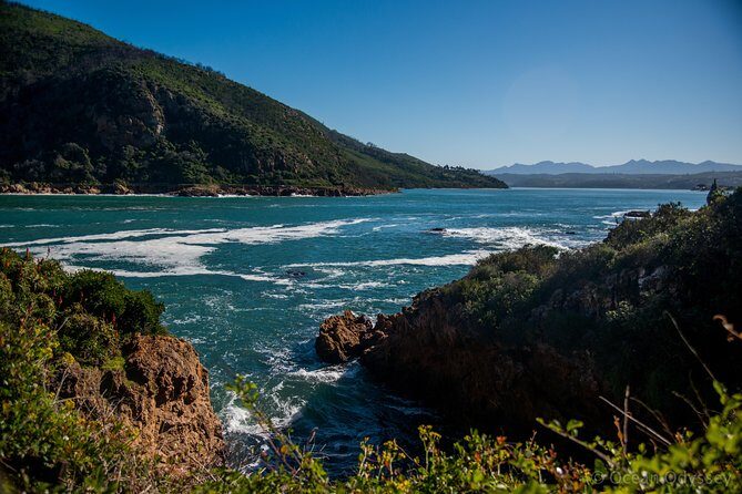 Knysna Heads & Lagoon Adventure Tour - Price and value: why $44.45 can make sense