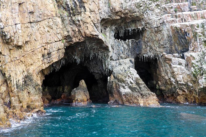 Knysna Heads & Lagoon Adventure Tour - Skipper-driven boat means less work for you
