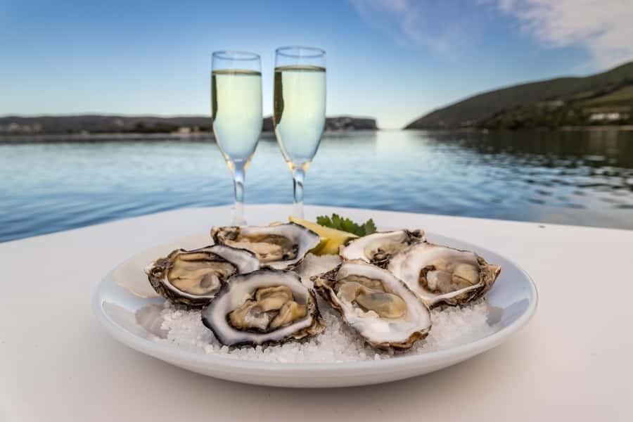 Knysna: Knysna Lagoon Pontoon Boat Cruise - Price and Value: Is $29 a Good Deal?