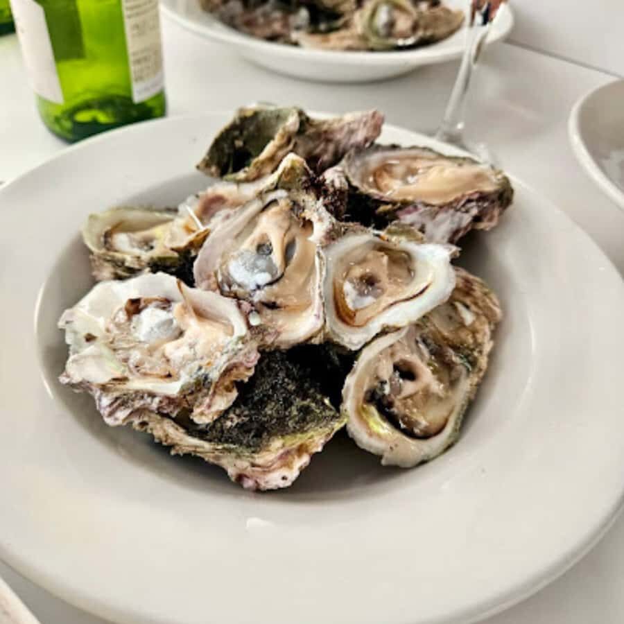 Knysna Lagoon: Boat Cruise with Oyster & White Wine Tasting - Getting to the meeting point at Heads Up Coffee & Co. (23 Sawtooth Lane)