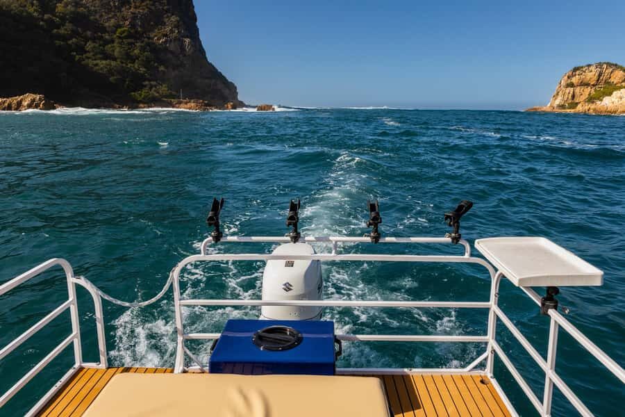 Knysna Lagoon Fishing Charter - Species targets in the Knysna Lagoon: what you can realistically aim for
