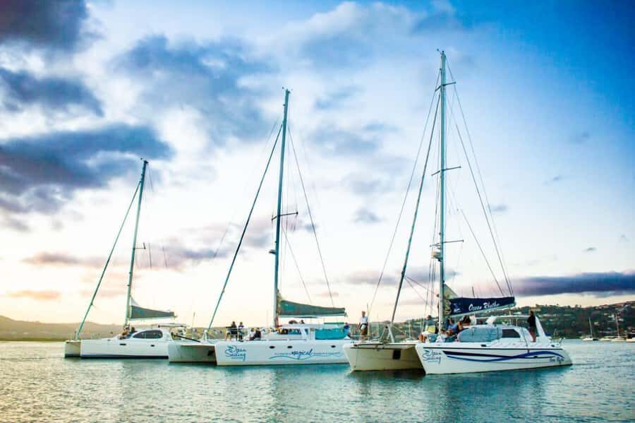 Knysna: Luxury Catamaran Marine Adventure Tour - Knysna Lagoon Views and the Bubbly Start