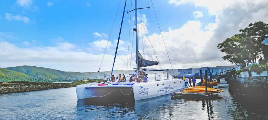 Knysna: Luxury Catamaran Marine Adventure Tour - What’s Included for Your $84 and What Costs Extra