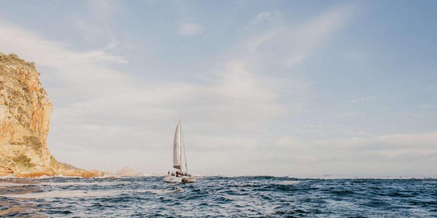 Knysna: Luxury Catamaran Marine Adventure Tour - Timing, Weather, and What to Bring on the Day