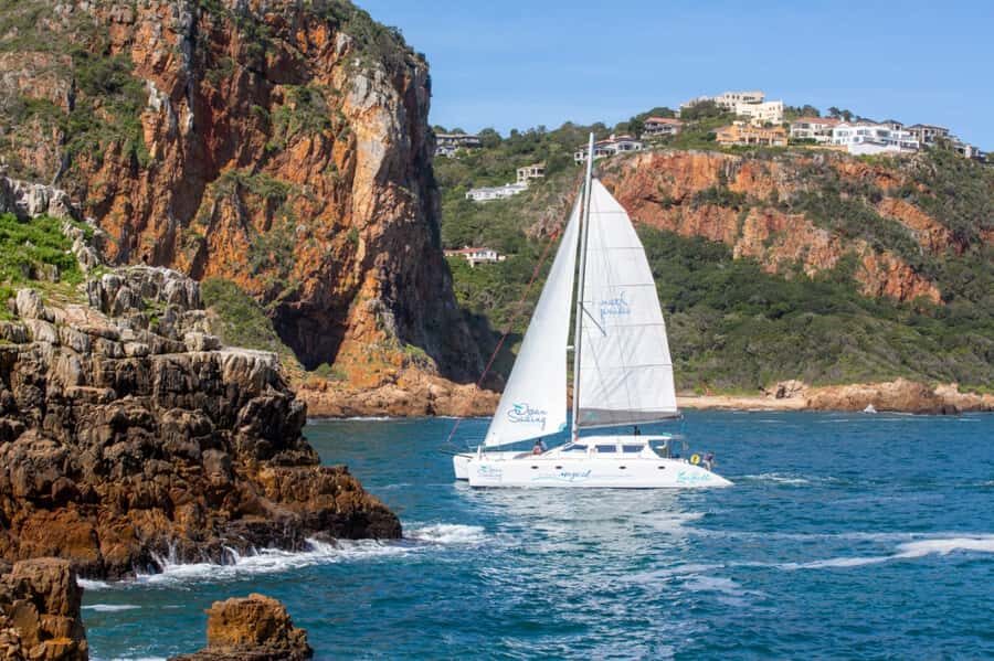Knysna: Luxury Sunset Cruise with Captain's Barbeque - Price and value around $111 per person (plus what costs extra)