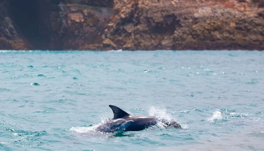 Knysna: Luxury Sunset Cruise with Captain's Barbeque - Onboard rules, what to bring, and how to stay comfortable