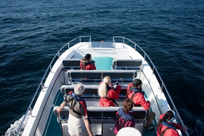 Knysna Marine Life & Garden Route Coastline Experience - Key Highlights Worth Planning For