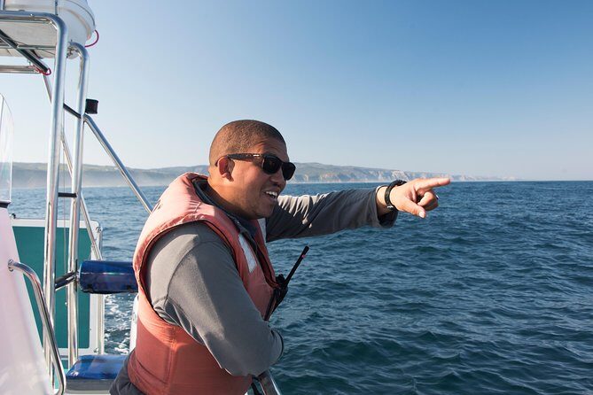 Knysna Marine Life & Garden Route Coastline Experience - Brenton-on-Sea and Buffalo Bay: What This Route Adds to Your Day