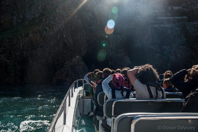 Knysna Marine Life & Garden Route Coastline Experience - Wildlife Chances: What You’ll Love If You Get Sighting Time