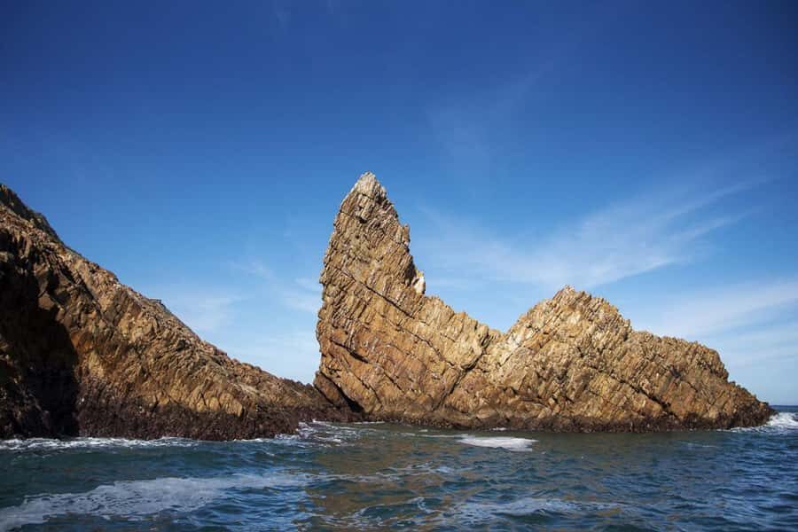 Knysna: Marine Life & Garden Route Coastline Tour - Knysna Heads to the Indian Ocean: What You’re Really Paying For